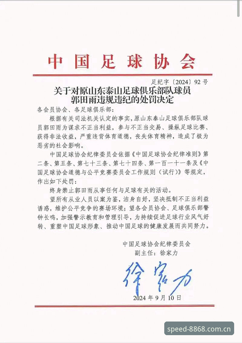 资深球迷深度解析：足协第三批禁足名单背后的深层逻辑与行业思考